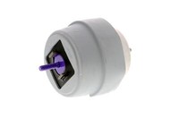 Vaico V10-2960 Lagerung, Motor FüR Audi Seat