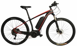 EBIKE MTB CARBON BICYCLE 250w 36v 12ah ELECTRIC E-BIKE RED 29ER 