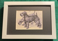 Kerry Blue Terrier MATTED | FRAMED | READY TO GIFT 1986 Vintage Dog Art Print W