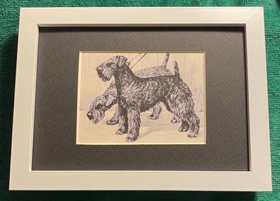 Kerry Blue Terrier MATTED | FRAMED | READY TO GIFT 1986 Vintage Dog Art Print W