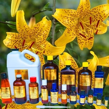 3 ml CITRONELLA 100% PURE ESSENTIAL OIL  * GLASS BOTTLE*