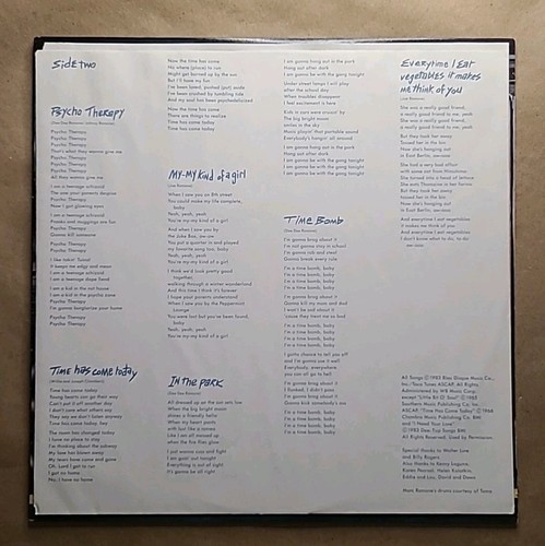 Ramones 2 Album Lot (Vinyl LP, Sire Records) - Subterranean Jungle + Halfway To - Picture 7 of 21