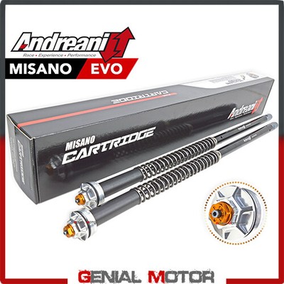 2012 Andreani Misano Evo Adjustable Triumph Tiger 800 12 Hydraulic Cartridge Kit
