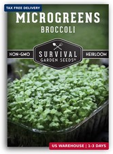 Broccoli Microgreen Seeds for Planting - Non-GMO Heirloom Broccoli Seeds to Grow