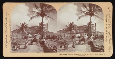Photo:Sugar estate, Island of Nevis, B. W. I., near home of Hamilton 1903