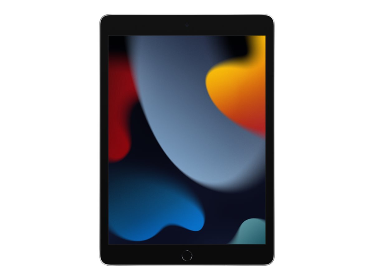 Apple 10.2-inch iPad Wi-Fi 9th generation tablet 256 GB 10.2" IPS MK2P3FD/A