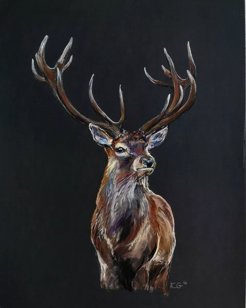 Stag animal best sale