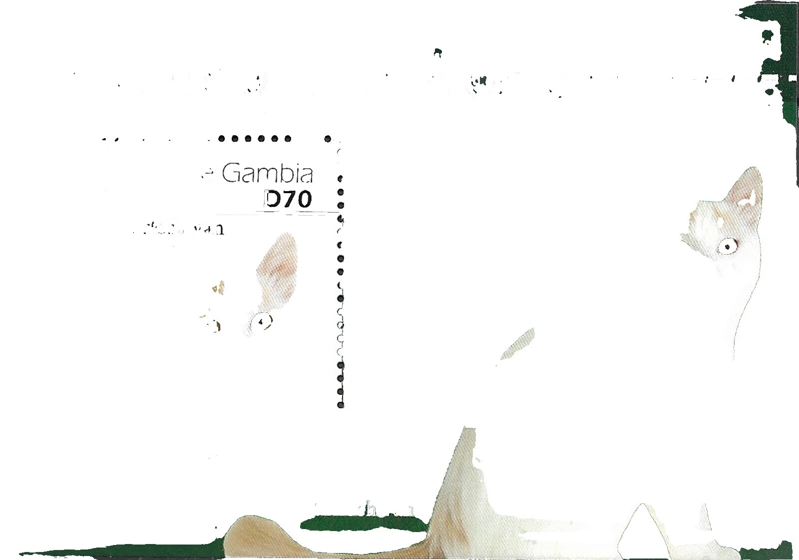 Cats Superb British Colony & Territory Stamps