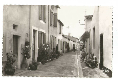 17 ILE DE RE VENELLE AUX FLEURS