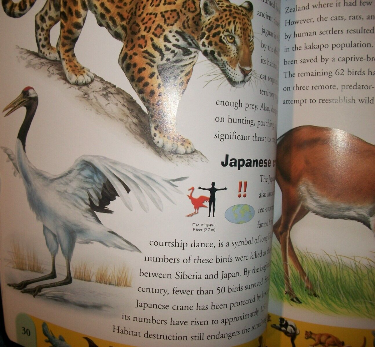 Endangered Animals Dictionary : An a to Z of Threatened Species by