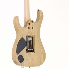Ibanez RG670AH Genesis Collection E-Gitarre Esche Korpus HSH Gold Hardware