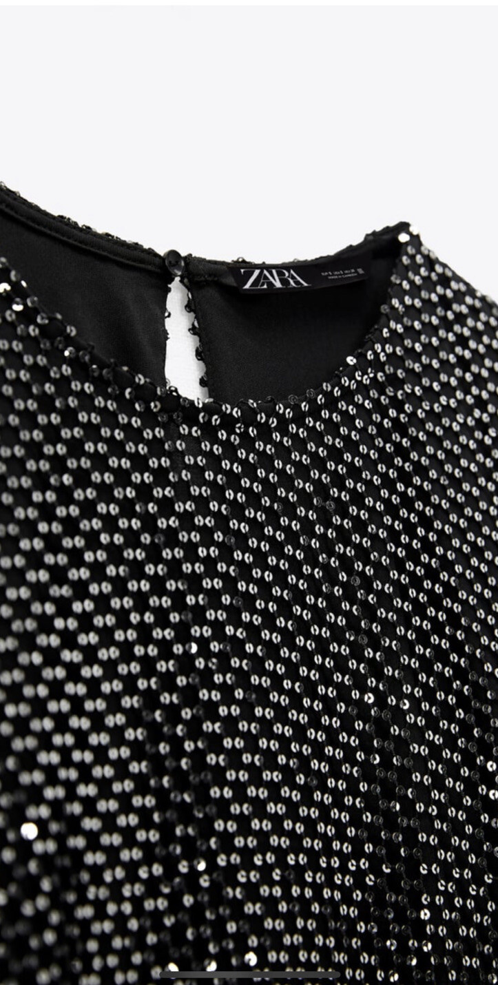 ZARA Semi Sheer Sequin Mesh Dress SMALL BNWT Trinny image 8