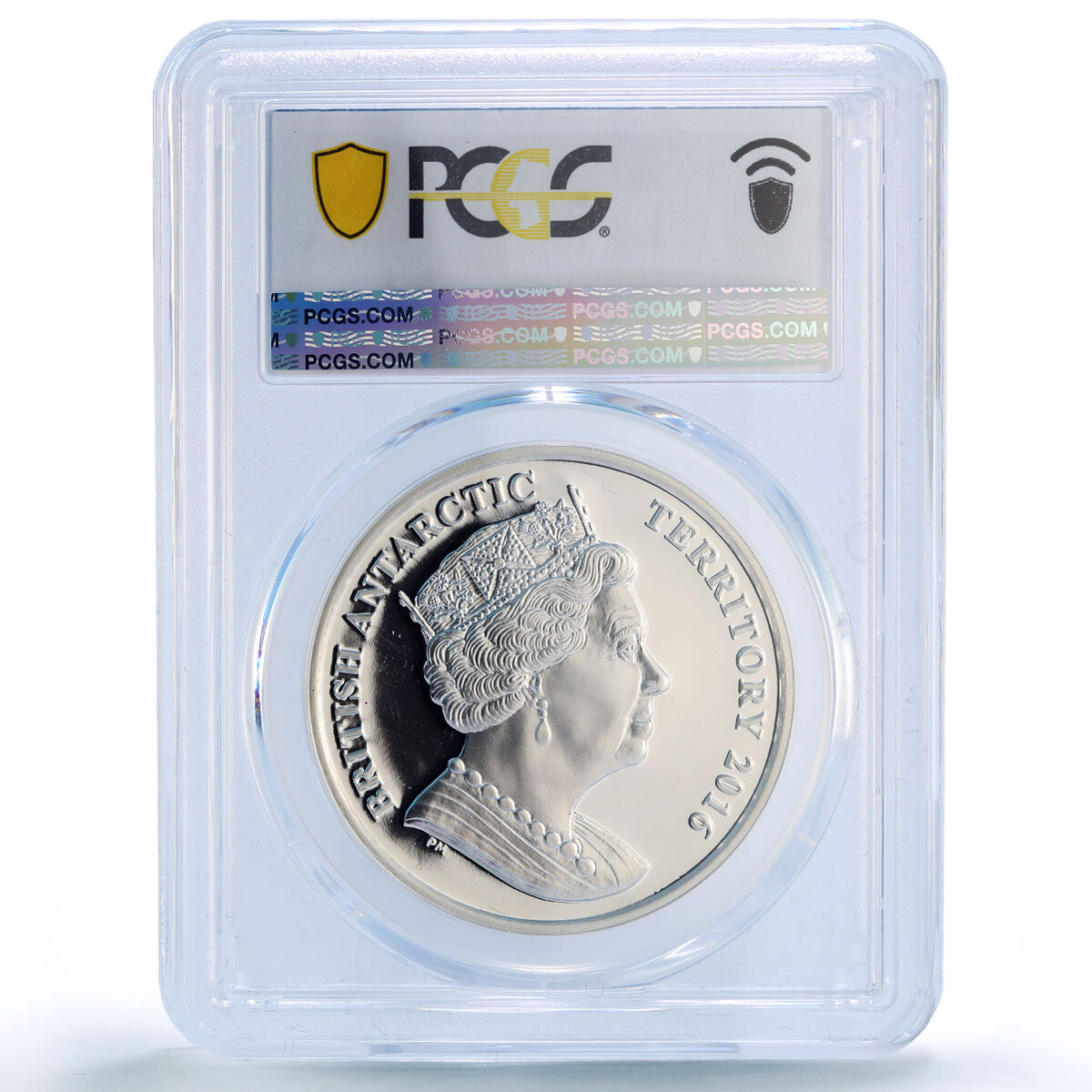 British Antarctic 2 pounds Sperm Whale Wildlife Fauna PR69 PCGS