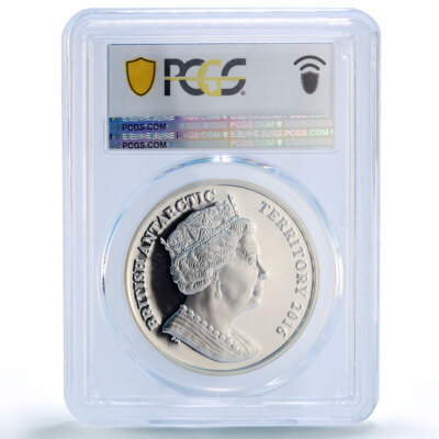 British Antarctic 2 pounds Sperm Whale Wildlife Fauna PR69 PCGS