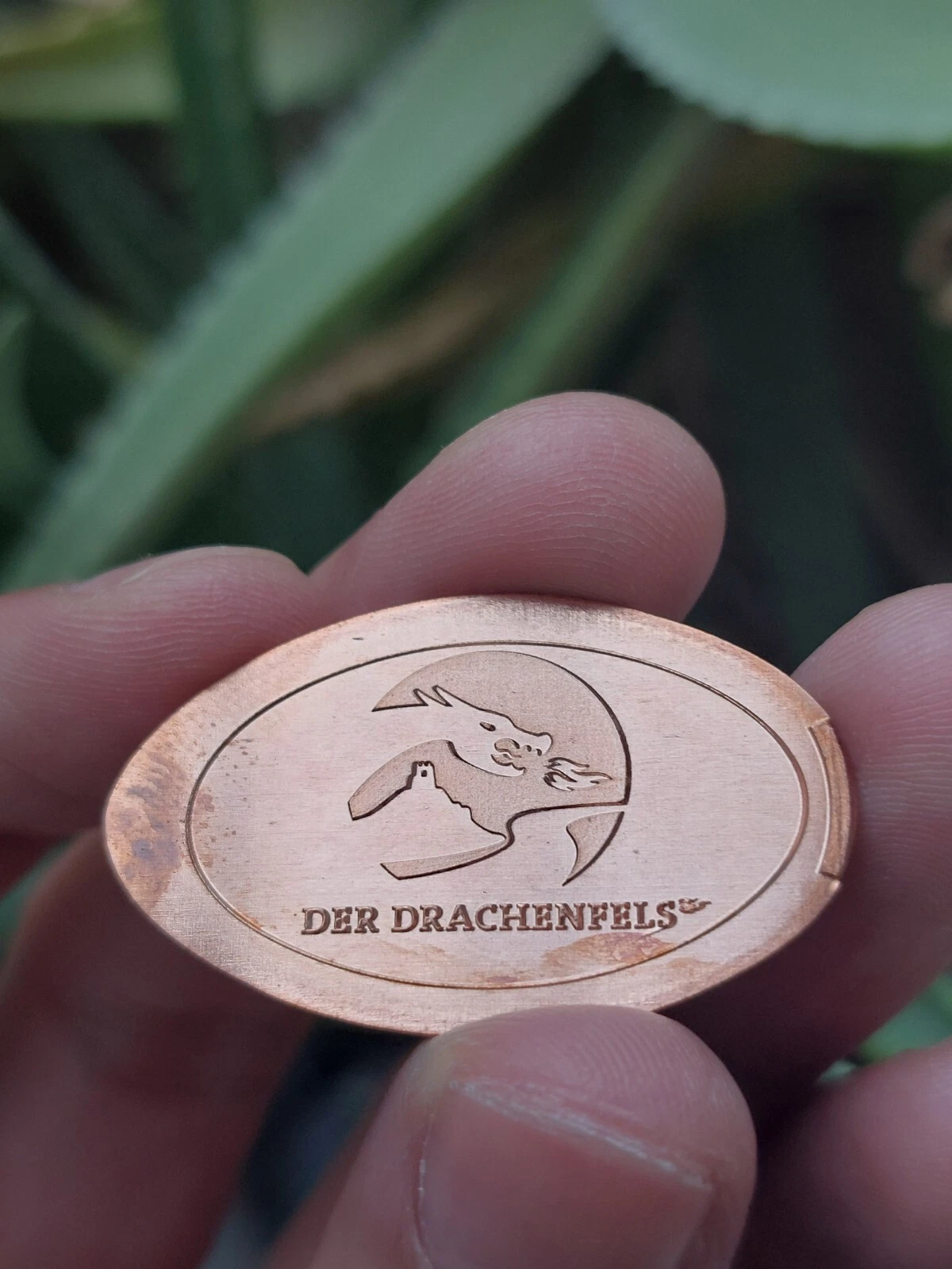 Bild 1 von 1