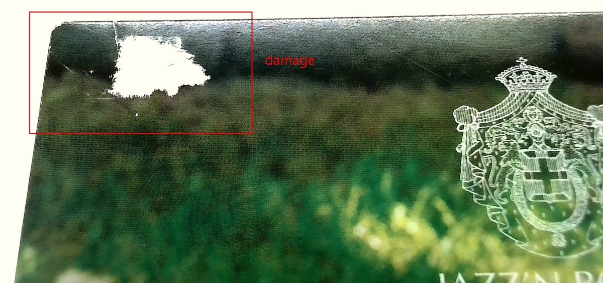 JAZZ'N BOSSA from Italy [CD] Various Artists/JAPAN | eBay