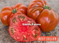 50 Seeds Dwarf Wild Spudleaf Tomato Planting Juicy Easy Grow Vegetable Garden