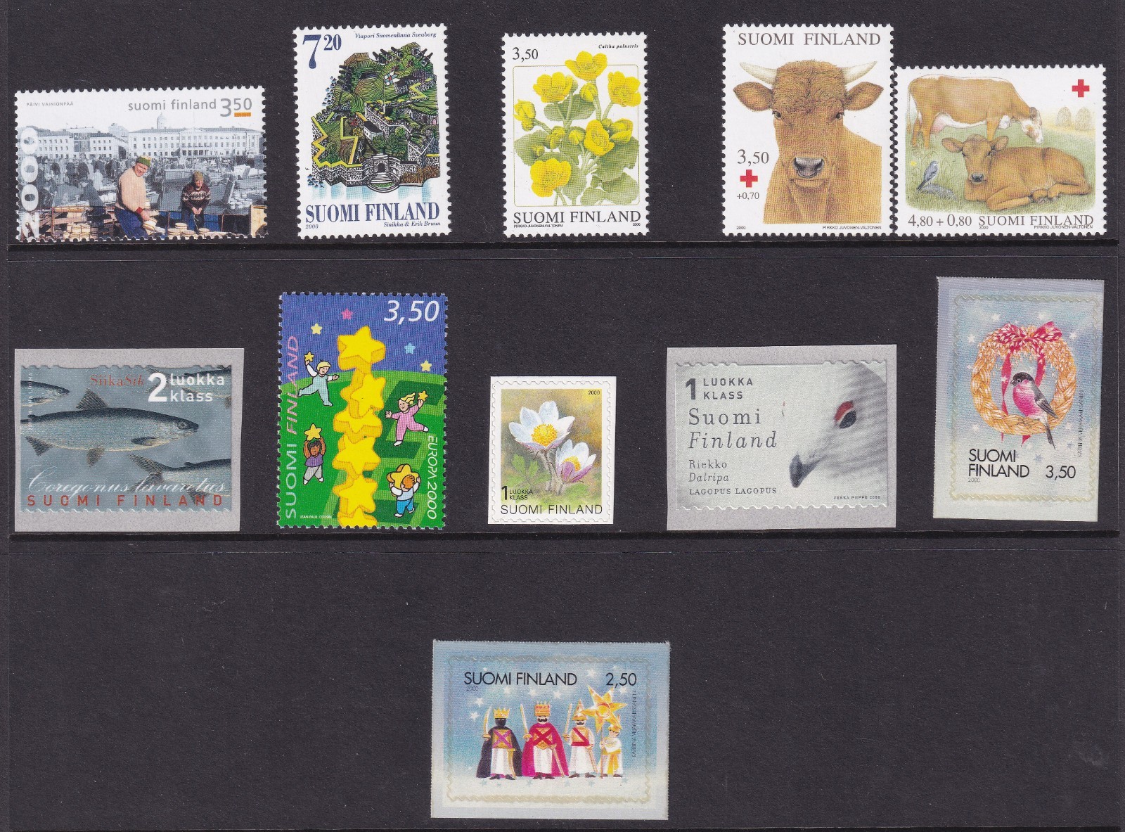 Bild 2 von 14
