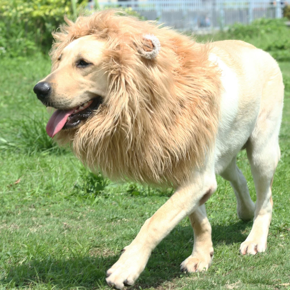 Melena de León para Perros, Divertido Disfraz de Halloween Ropa para Perros, Snoods para Perros Foto 4 de 4
