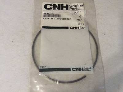 2831392 - A New Ring For A CaseIH Maxxum 100, Maxxum 110