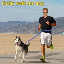 Hands Free Running Dog Leash Bungee Reflective Strip for Jogging Walking Hiking 