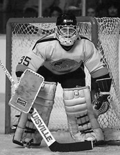 Jofa 280 HM30 Cage Dangler Goalie Helmet Mask Hockey Richard Brodeur Canucks