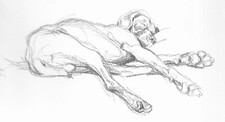 Boxer Sleeping - CUSTOM MATTED - Vintage Dog Art Print - Poortvliet 0810