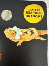 Bearded Dragon Small Animal Costume Pumpkin Jack O Lantern Halloween