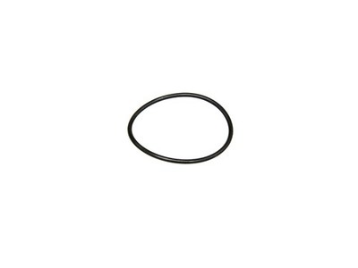 O-Ring (Rundring) 20 x 1 - für Motorgehäuse - zur Ölpumpe Mikuni ZY 1M-135W - Si