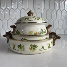 Asta Sweet Honeysuckle Vine German Enamelware German Cookware Set Of 3