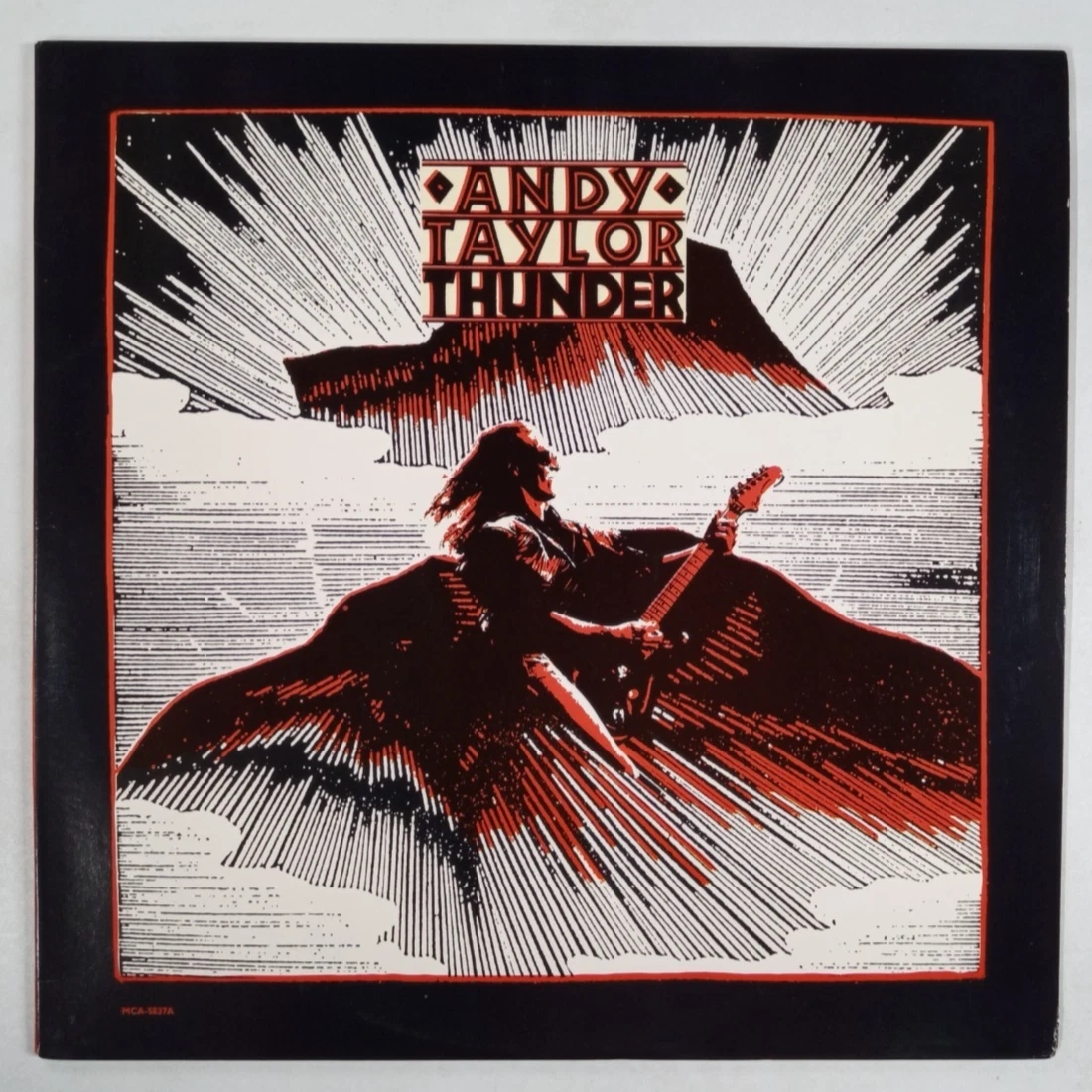 andy taylor thunder products for sale | eBay