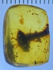 Photo 2/7
