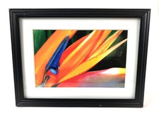 BIRD OF PARADISE FLOWER 4x6 " MATTED AND FRAMED PHOTO PRINT, READY TO HANG