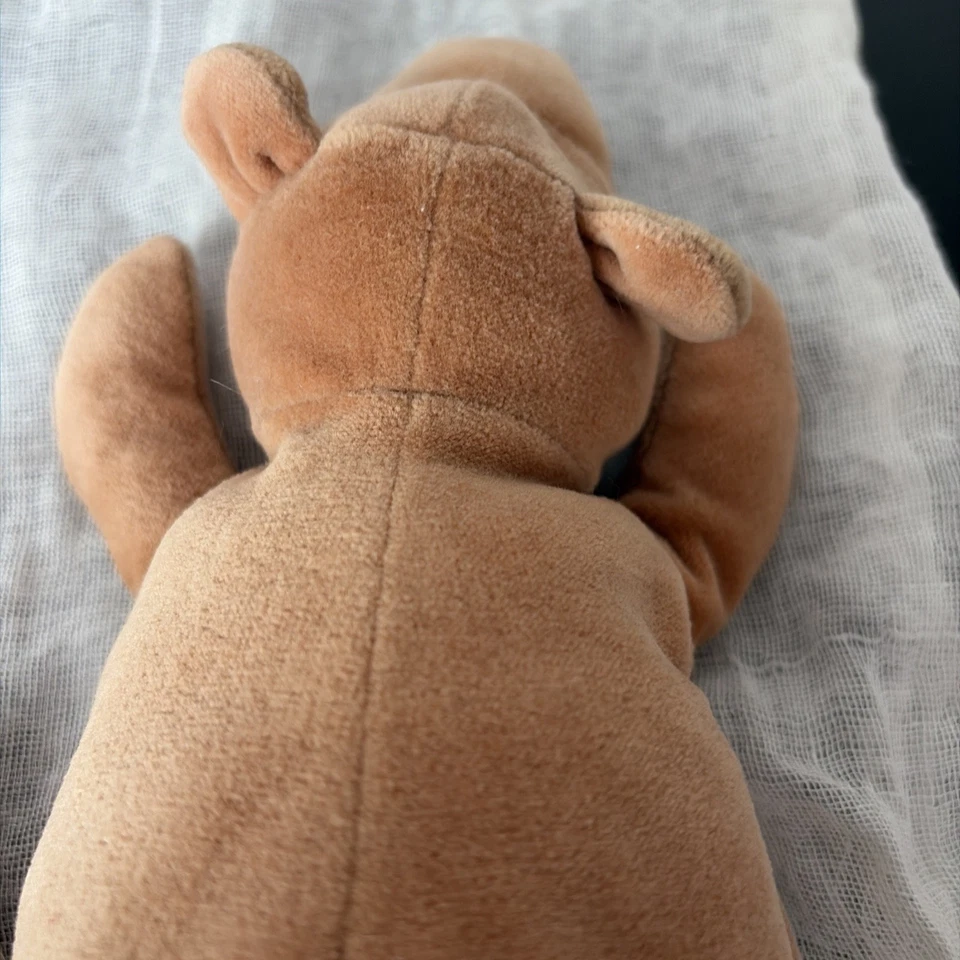 Rare Jellycat Flatto Bear From 2000 Retired Complete with Tags - Image 4 of 4