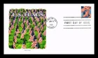 US COVER PANDA CACHET FLAGS FIRST DAY OF ISSUE 2022 FINDLAY OHIO