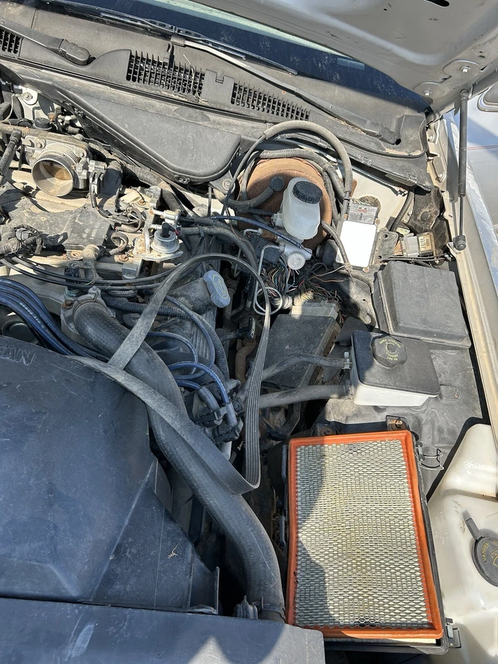 Piezas de motor debajo del capó 1993 Mercury Grand Marquis Ford Crown Vic Victoria 92 94 Foto 3 de 3