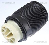 Luftfeder Fahrwerk Triscan 8720 23202 FüR Mercedes Klasse W212 Model S212 CLS