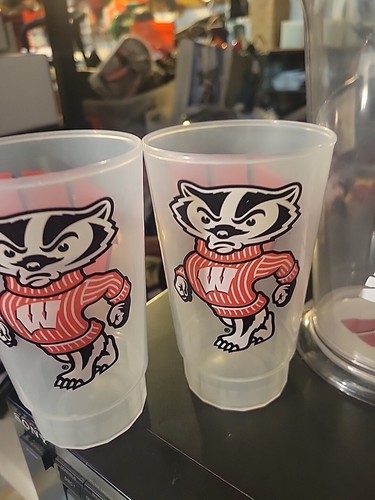 Wisconsin University Badgers Plastic Beer Pitcher Matching Plastic 4 Cups NCAA - Picture 3 of 5