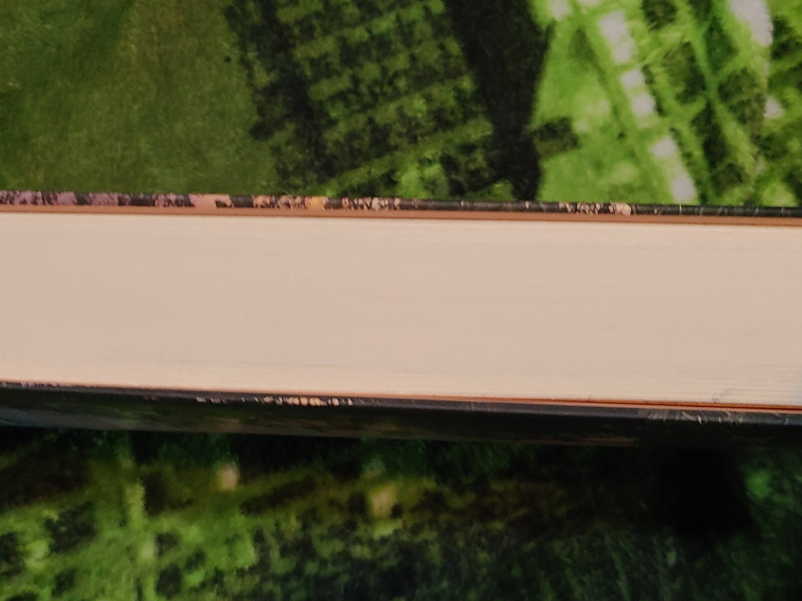 Fellowship Point : A Novel by Alice Elliott Dark (2022, Hardcover) for