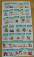 Jolee's By You FLOWERS & LEAVES U CHOOSE NIP 