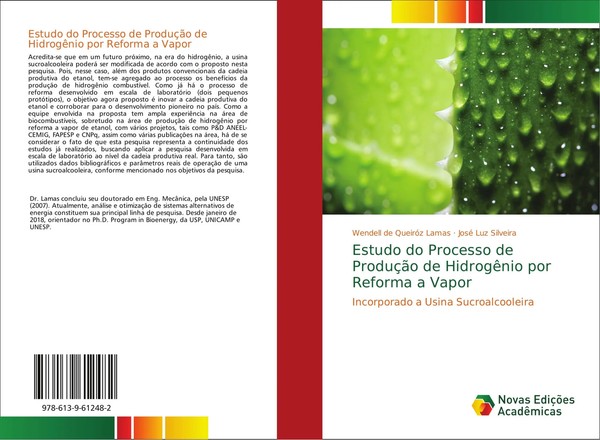Wendell De QueiróZ Lamas (U. A.) | Estudo Do Processo De ProduçãO De...-image