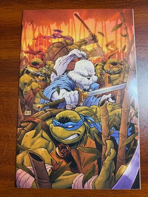 TMNT Usagi Yojimbo: WhereWhen #1 Ryan G. Browne Virgin Variant | Low Print Run 