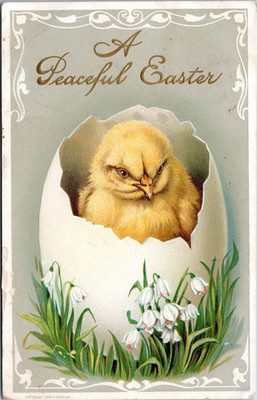 A Peaceful Easter- Chick in Hatched Egg- 1911 Posted d/b Postcard