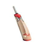 WOODWORM iBAT MENS CRICKET BAT DELTA