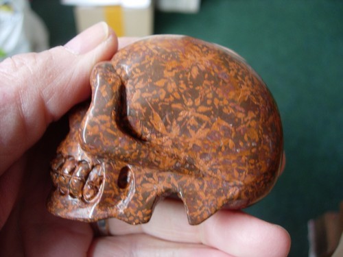 Crystal Skull large star fossil flower stone - Picture 6 of 6