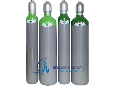10L+20L Gasflasche Leerflasche  Schweißgas Schutzgasflasche Argon CO2 Schutzgas