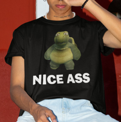 Nice Ass Funny T-Shirt For Men Meme Shirt