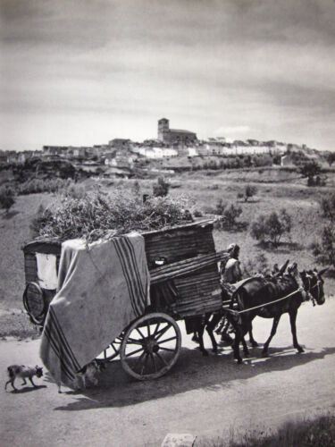- Tsiganes - Wanderndes Volk - alter Bildband / photobook - Bild 10 von 10