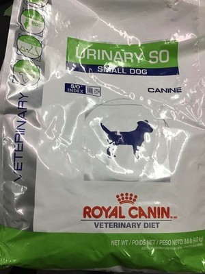 urinary so small dog