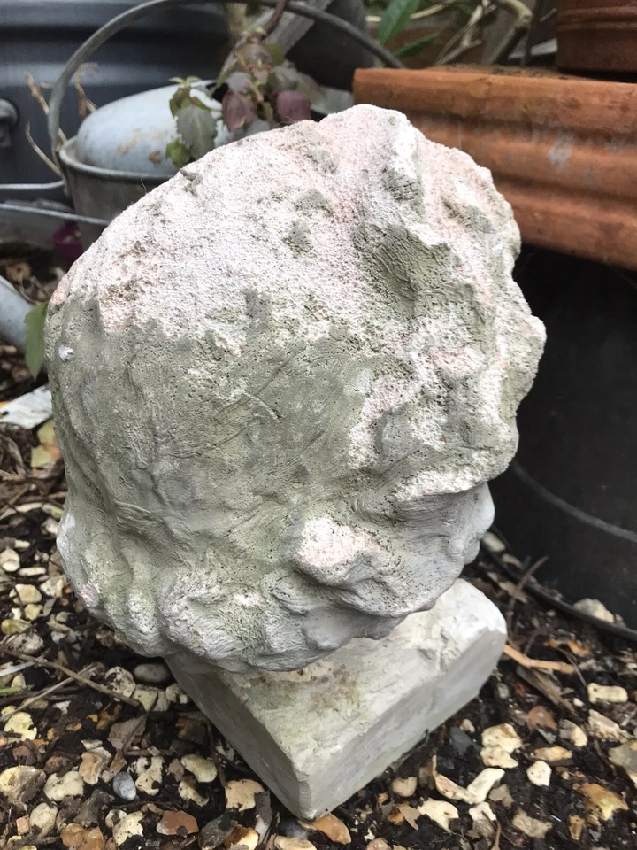Head Sculpture-Garden Ornament-30x20cm - Image 4 of 4